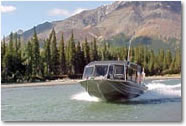Wilderness Jet-Boat Safari
